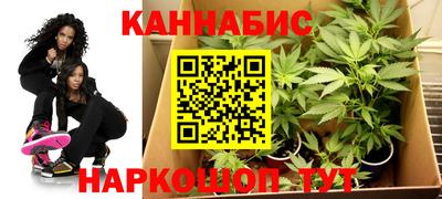 mdpv Краснознаменск