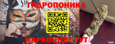 mdpv Краснознаменск
