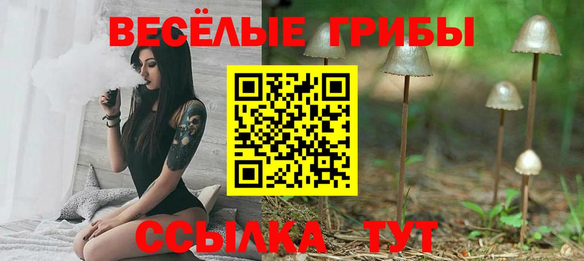 Каспийск  Галлюциногенные грибы Psilocybine cubensis  Псилоцибиновые грибы MAGIC MUSHROOMS  Вход с VPN 