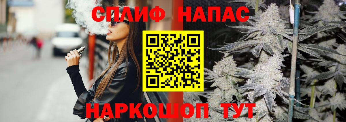 Бошки Шишки план Каспийск